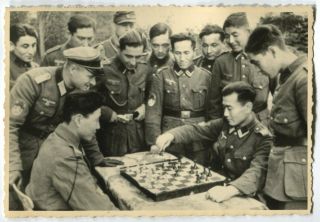 German Wwii Archive Photo: Foreigners Serving In Wehrmacht Playing Chess