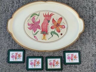 Vintage Lynn Chase Parrot Key West Cockatiel Pink Platter,  4 Coasters ❤️sj17j