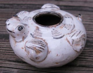 Vintage Cizhou Ware Water Dropper In The Shape Of A Water Turtle Porcelain China