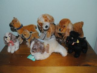 7 Vintage Steiff Mohair Animals With Ids,  Cocker,  Beagle,  Boxer,  Poodle