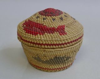 Vintage 1940/50 ' s Nootka Tribal Ploychrome Cylindrical Fancy Cabinet Basket 2