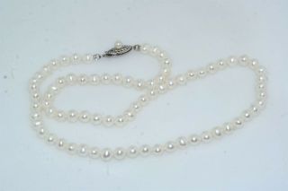 6mm Japanese Cultured Pearl 14k White Gold Filigree Clasp 18 " Necklace Strand