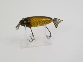 Creek Chub Wagtail Lure in Golden Shiner Glass Eyes 2