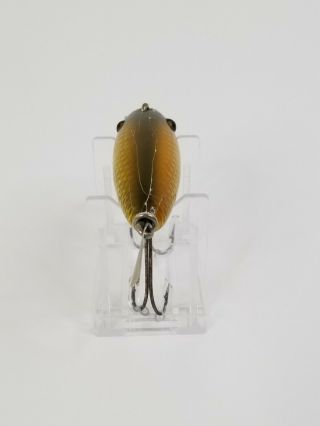 Creek Chub Wagtail Lure in Golden Shiner Glass Eyes 4