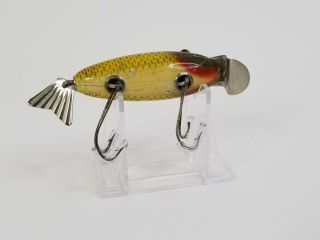 Creek Chub Wagtail Lure in Golden Shiner Glass Eyes 5