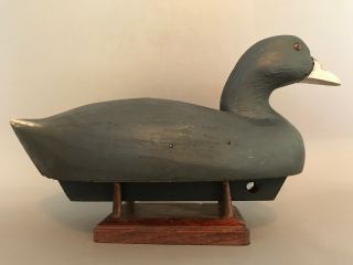 Wildfowler Coot Decoy,  Solid Body,  Glass Eyes,  Weighted For Balance.