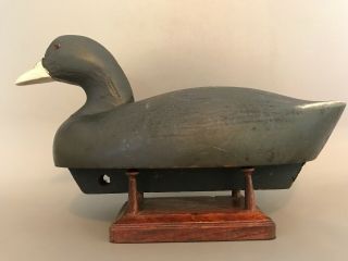 Wildfowler Coot Decoy,  solid body,  glass eyes,  weighted for balance. 2