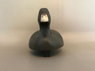 Wildfowler Coot Decoy,  solid body,  glass eyes,  weighted for balance. 3