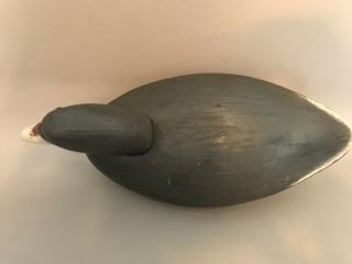 Wildfowler Coot Decoy,  solid body,  glass eyes,  weighted for balance. 6