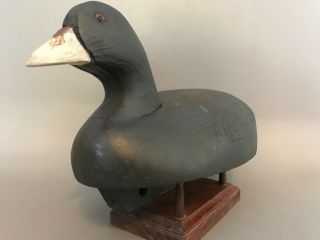 Wildfowler Coot Decoy,  solid body,  glass eyes,  weighted for balance. 7