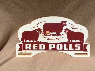 Vintage Red Polls Cattle Breed Painted Advertising Farm License Plate Topper