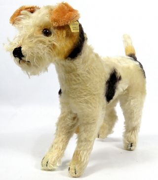 Vintage Steiff Foxy Fox Terrier Dog 1322,  0 Mohair Made Us Zone Germany Post - Wwii