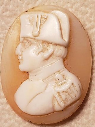 Outstanding Antique Loose Shell Cameo Portrait Emperor Napoleon Bonaparte