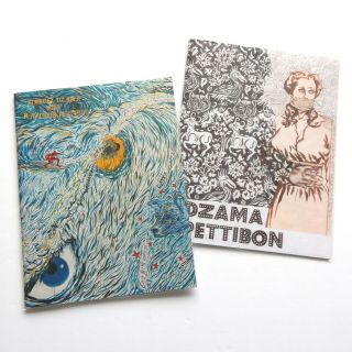 Raymond Pettibon & Marcel Dzama Rare Signed Drawing Zine Art Book 2016