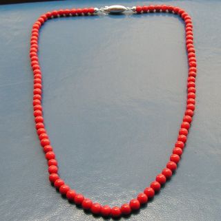 Natural Undyed Red Coral Angel Skin Ball 5mm Coral Necklace Italy