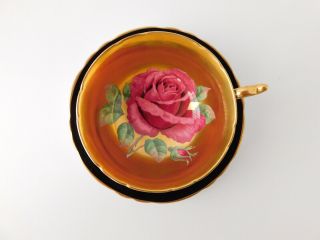 Vintage PARAGON Cabbage ROSE on GOLD Cup & Saucer Black 5