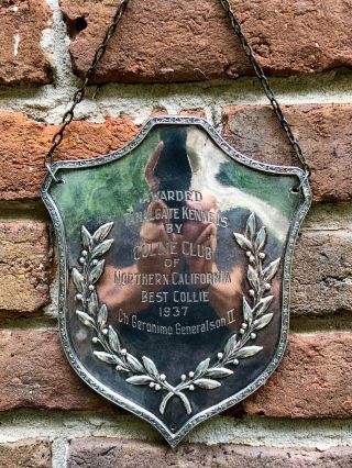 Rare Vintage Silverplate Dog Club Large Medallion Shield Plaque Trophy — Collie