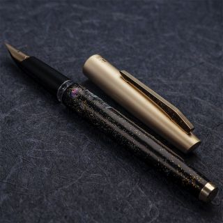 Vintage Rare 1960s Pilot Elite 14k Soft Nib Urushi Raden Fountain Pen From Japan