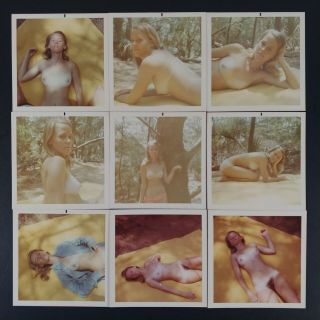 9x Nude Pretty Blonde Girl Next Door On Blanket In Woods Photos Vtg 70s Risque