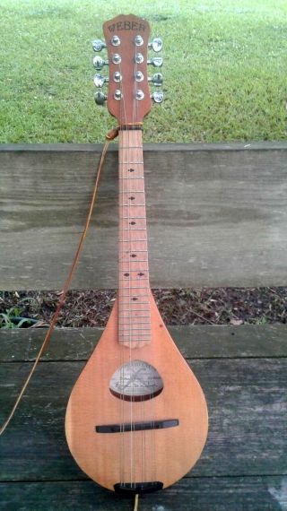 Webster Sweet Pea Madolin - Very Rare Mandolin In