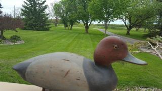 Vintage Very Hollow 100 Year Old Red Head Wood Hunting Duck Decoy
