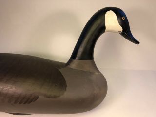 R.  Madison Mitchell Of Havre De Grace,  Md Canadian Goose Decoy