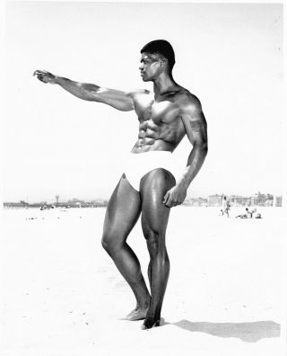 Gay Interest - Vintage - Male Physique Photos - Bruce Of Los Angeles - 8 X 10 "