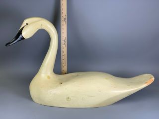 Massive Hand Carved & Painted Wood Trumpeter Swan Decoy Artist Signed