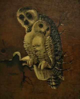 Vintage Owl Portrait Painting Oil On Canvas Mother & Baby Birds