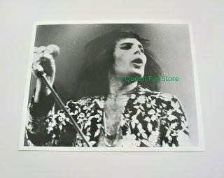 Queen : Vintage Freddie Mercury 8 " X 10 " Live Professional 1975 Concert Photo