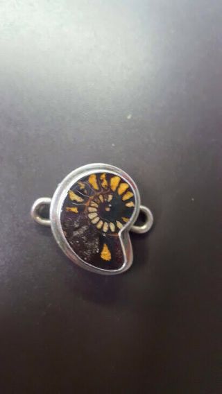 . 75 " High By.  50 " Wide.  Tabra One Of A Kind Ammonite Connector Charm