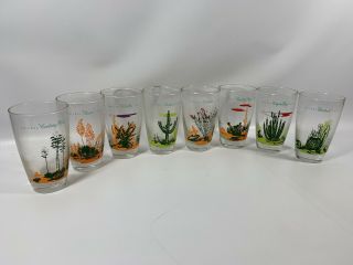 Blakely Arizona Cactus Cacti Vintage Clear Drinking Glasses Set Of 8 Rare