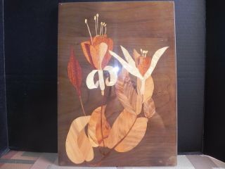 Vintage 16.  5 " Wood Marquetry Plaque Mid Century Wall Art Inlay Lily Leaves Italy