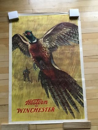 1955 Western - Winchester Pheasant Lithograph 28x42 Poster Litho Print 4