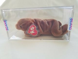 Authenticated Extremely Rare Ty Beanie Baby Cubbie " Korean "