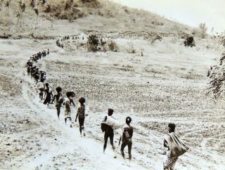 1944 Rare WWII PHOTOS Battle of Hollandia US ARMY Guinea Campaign 4