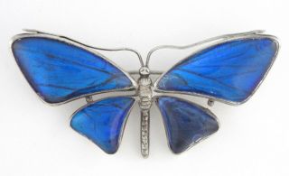 1900s - England - Art Nouveau Blue Wings Butterfly Sterling Silver Pin / Brooch