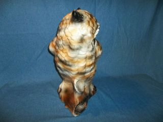 HUGE Rare Vintage 60 - 70’s Retro Chalkware Plaster Owl Bank Statue 20 3/4 