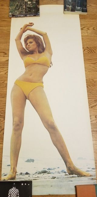 Rare Vintage Raquel Welch Life Size Poster By Terry O 