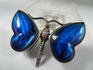 Vibrant,  Vintage Butterfly Wing,  Sterling Silver Butterfly Brooch - Signed.  30 