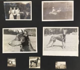 Vintage Photo Album,  500,  photos,  Americana,  Dogs,  Travel,  Kids,  Disney 1930 - 60 2
