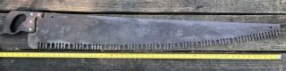 Vintage/ Antique/ Rare 48 " Warranted Superior Crosscut Saw One/ Two Man Logging