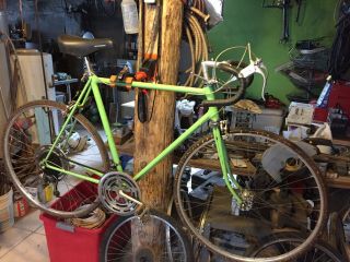Vintage 1972 Schwinn Sport Bike Usa Chicago Made Opaque Green Color