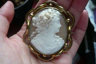 Victorian Bacchus Shell Cameo And Gilt Metal Brooch