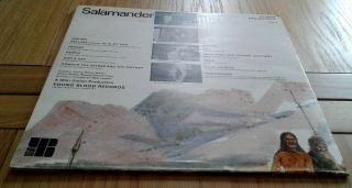 SALAMANDER The Ten Commandments MEGA RARE 1971 UK HEAVY PSYCH LP Youngblood EX, 10