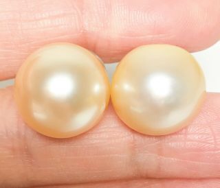 Gorgeous 14k Gold Round Gold Australian South Sea 13.  9mm Pearl Stud Earrings