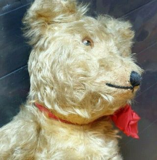 Antique Adorable 20 Inches German Jointed Teddy Bear.  Lond Deep Mohair