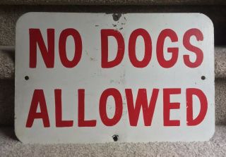 Vintage No Dogs Allowed Steel Sign Painted Beach Park Lawn 1950s 1960s Wisconsin