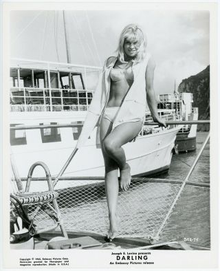 Barefoot Blonde Bikini Bombshell Julie Christie Vintage 1965 Darling Photograph