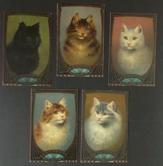 Vintage Cat Postcards (5) Davidson " Pretty Kittens " Series 7061 - Art Deco Borders